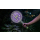 NOVEEN Lampa owadobójcza IKN145 - 1540917 - zdjęcie 9